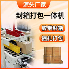 纸带机与自动打包封箱一体机 智能包装时代的高效组合